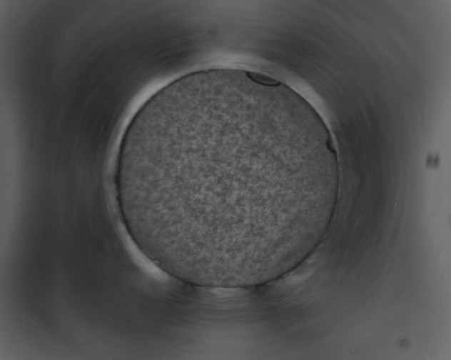 X0000101141152200807181249