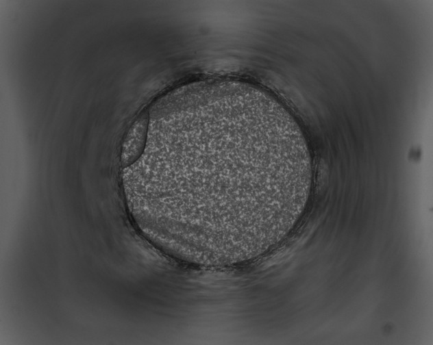 X0000101141153200807181248