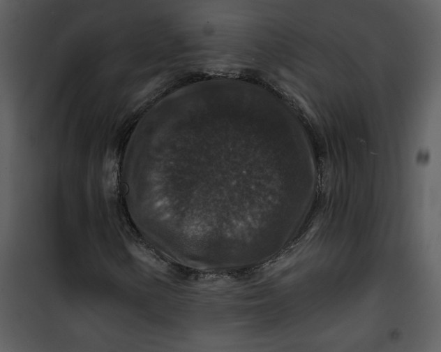 X0000101141154200807181248