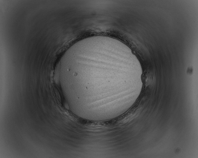 X0000101141156200807181248