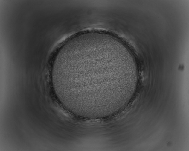 X0000101141159200807181248