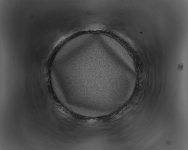 X0000101141160200807181248