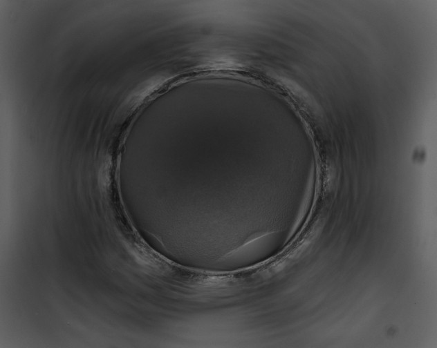 X0000101141161200807181248