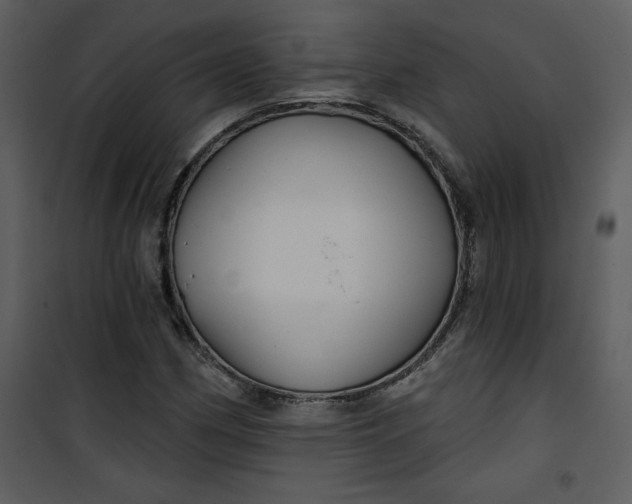 X0000101141162200807181248