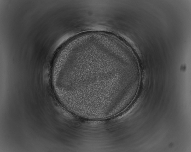 X0000101141163200807181248