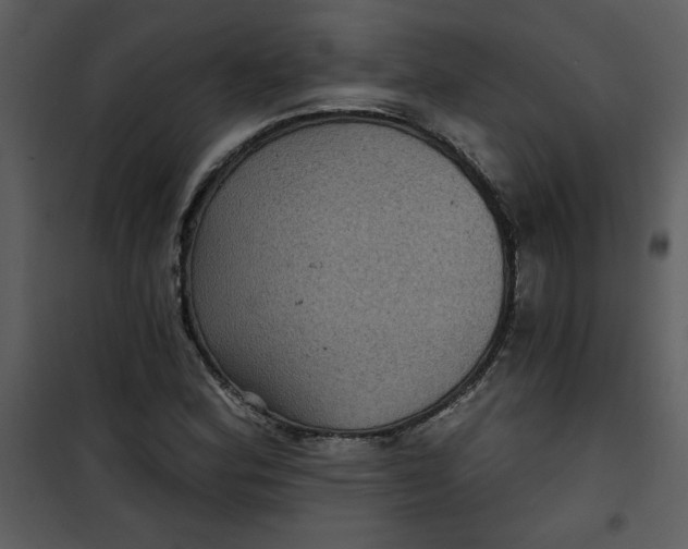 X0000101141164200807181248