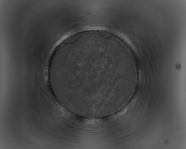 X0000101141165200807181248