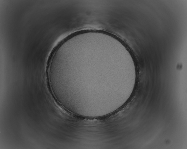 X0000101141168200807181248