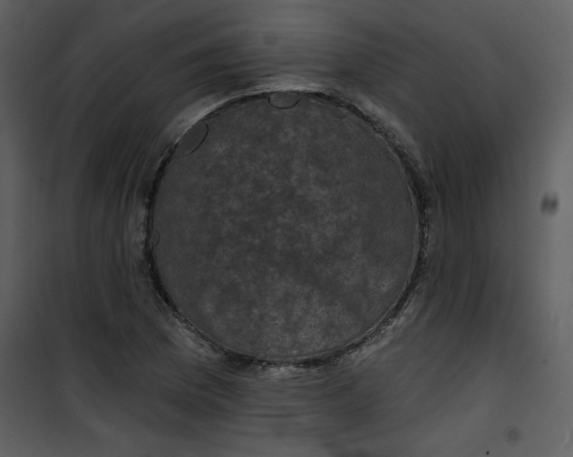 X0000101141169200807181248