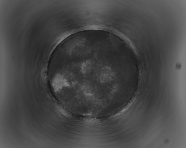 X0000101141170200807181248