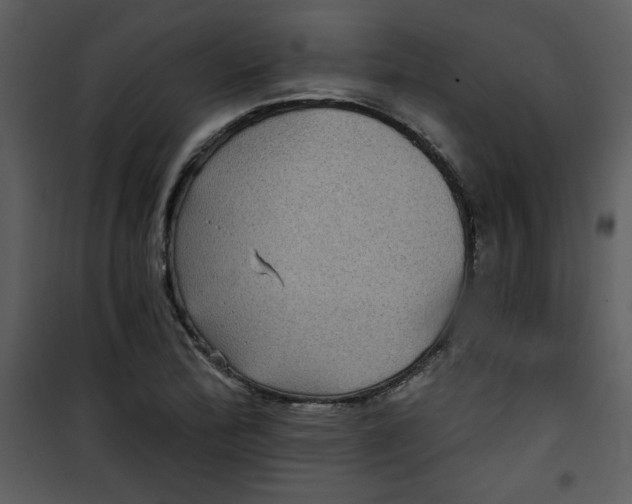 X0000101141172200807181248