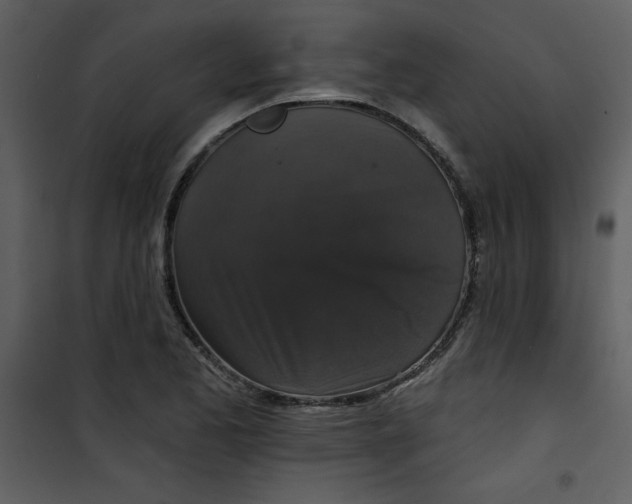 X0000101141173200807181248