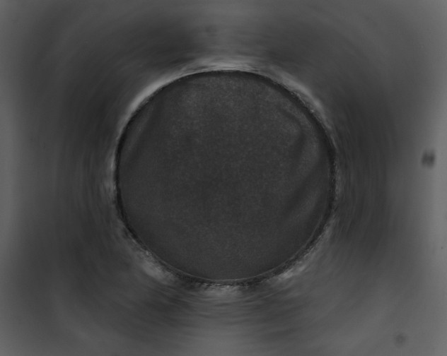 X0000101141174200807181248