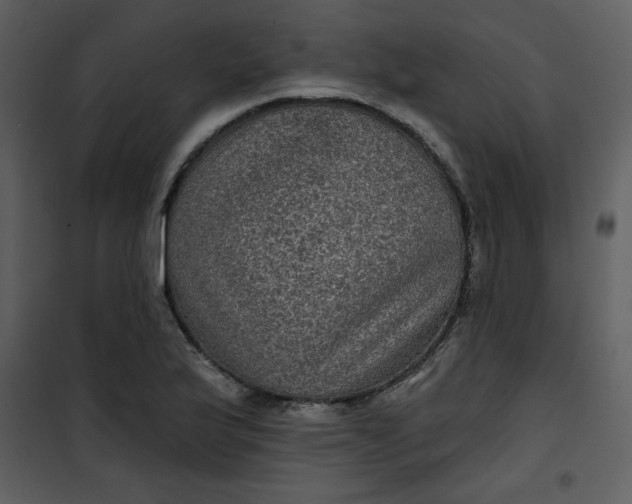 X0000101141175200807181248