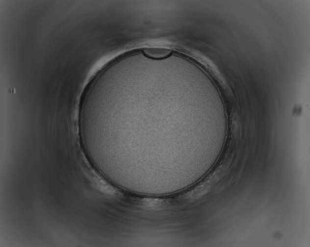 X0000101141176200807181248