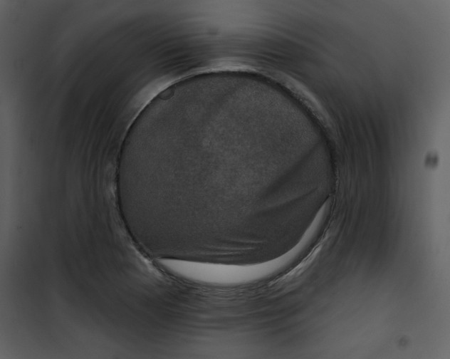 X0000101141177200807181248