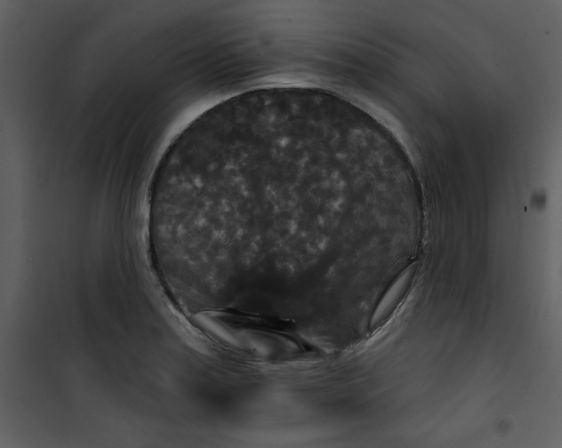 X0000101141179200807181248