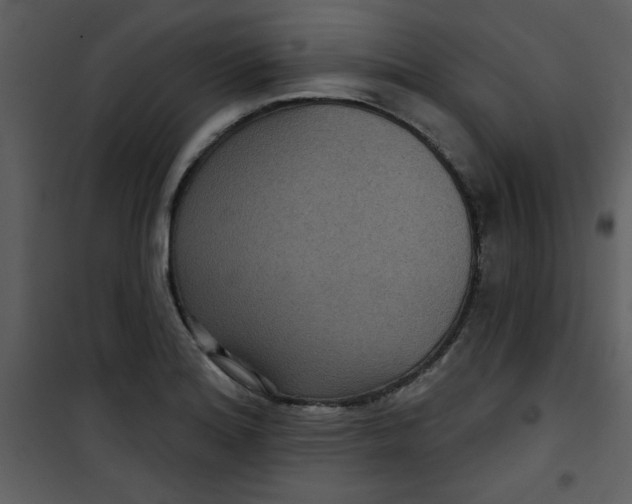 X0000101141180200807181248