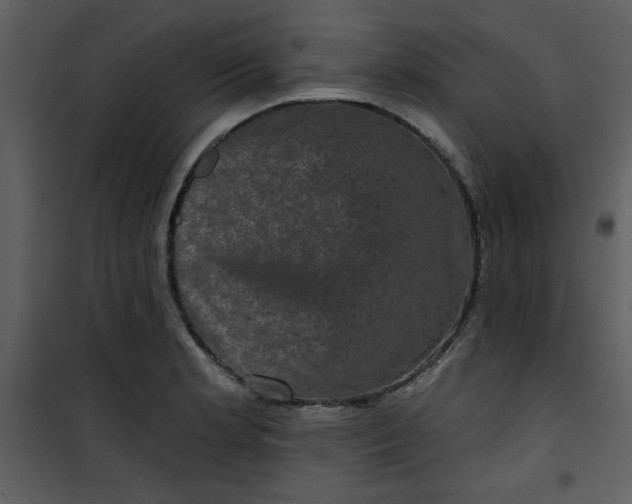 X0000101141181200807181248