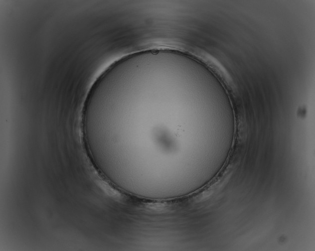 X0000101141182200807181248