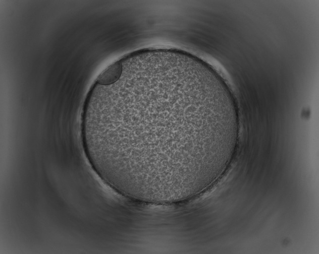 X0000101141183200807181248