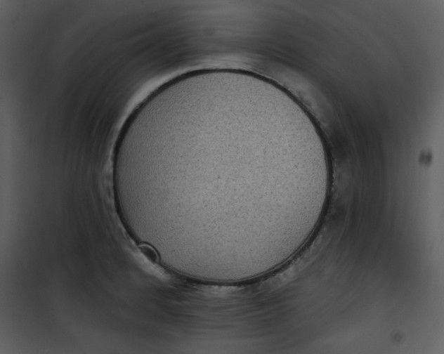 X0000101141184200807181248