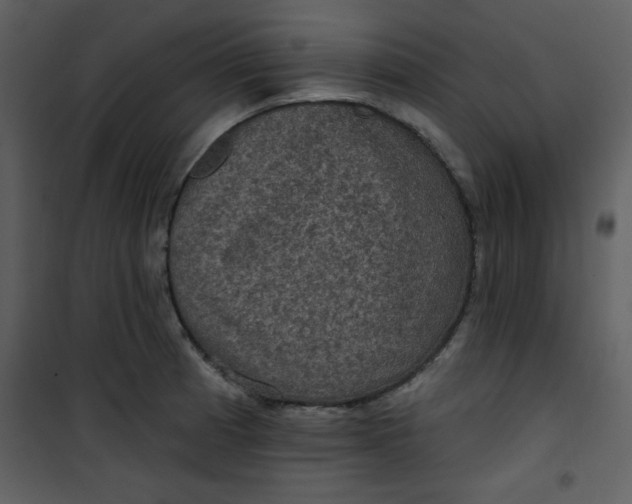 X0000101141185200807181248