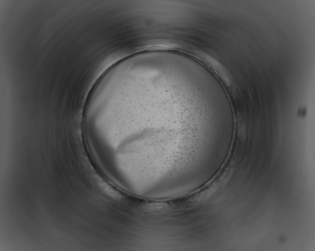 X0000101141186200807181248