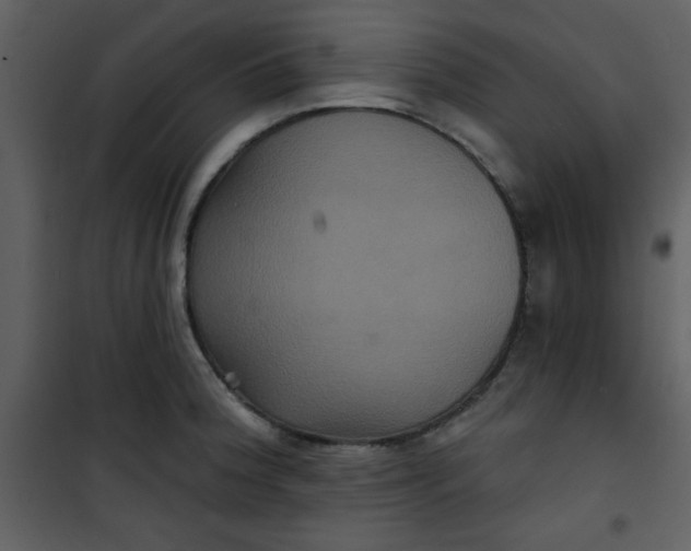 X0000101141188200807181248