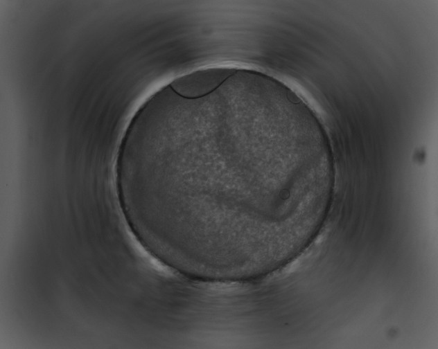 X0000101141189200807181248