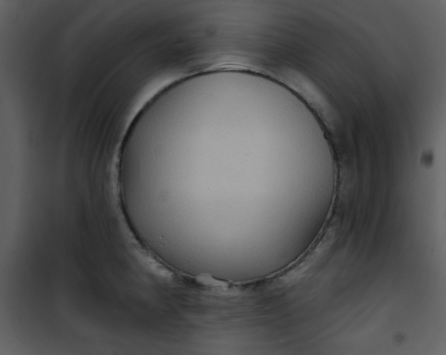 X0000101141190200807181248