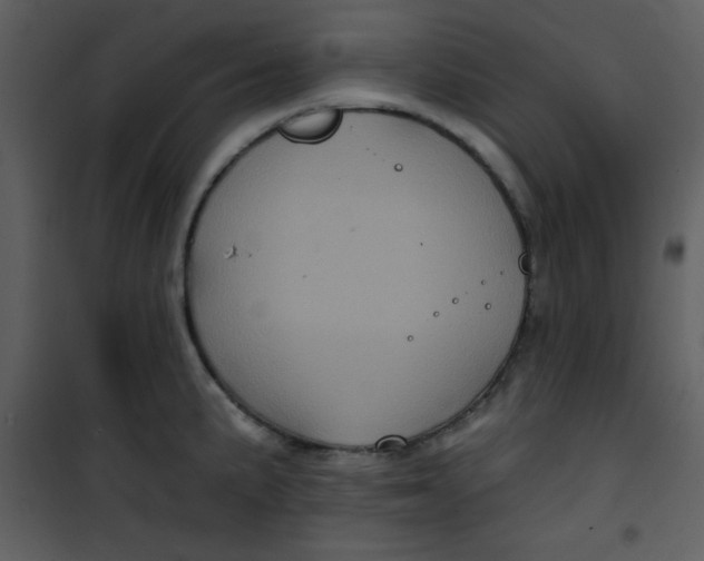 X0000101141191200807181248