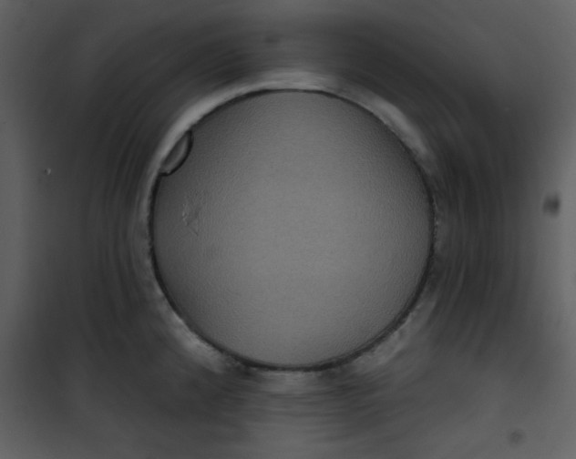 X0000101141192200807181248