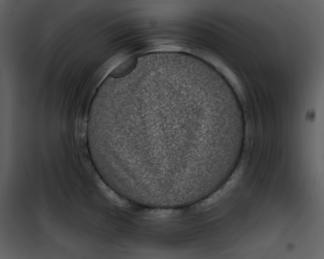 X0000101141193200807181248