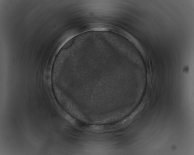 X0000101141194200807181248