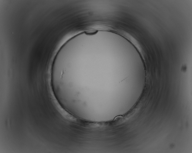 X0000101141195200807181248