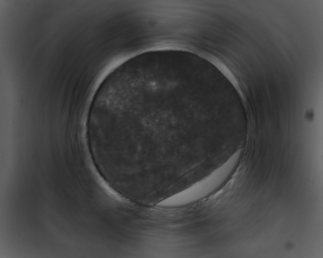 X0000101141197200807181248