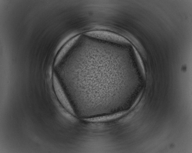 X0000101141198200807181248