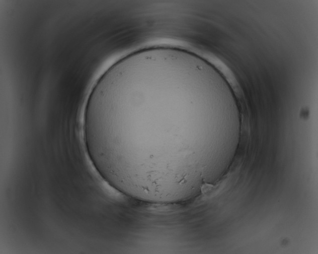 X0000101141199200807181248