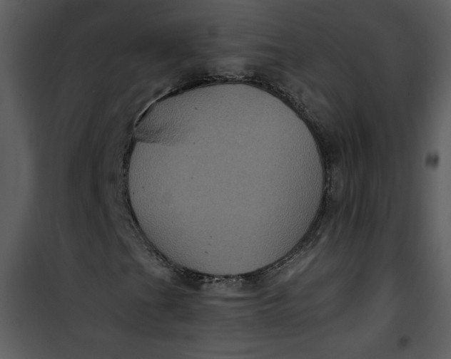 X0000101141201200807181247