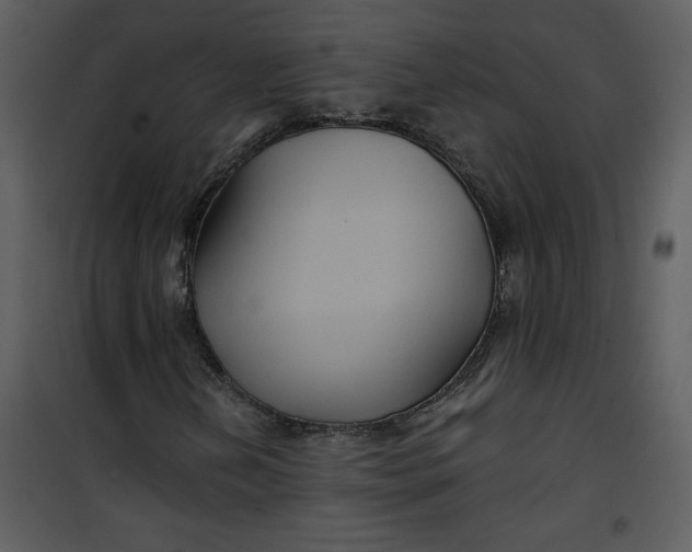 X0000101141202200807181247