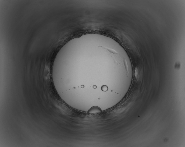 X0000101141203200807181247