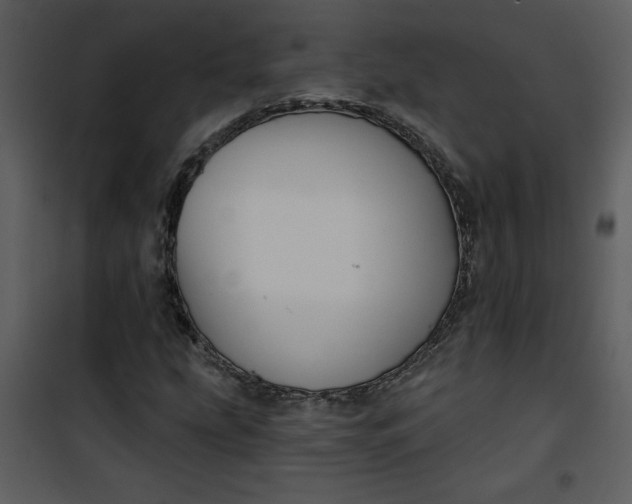 X0000101141207200807181247