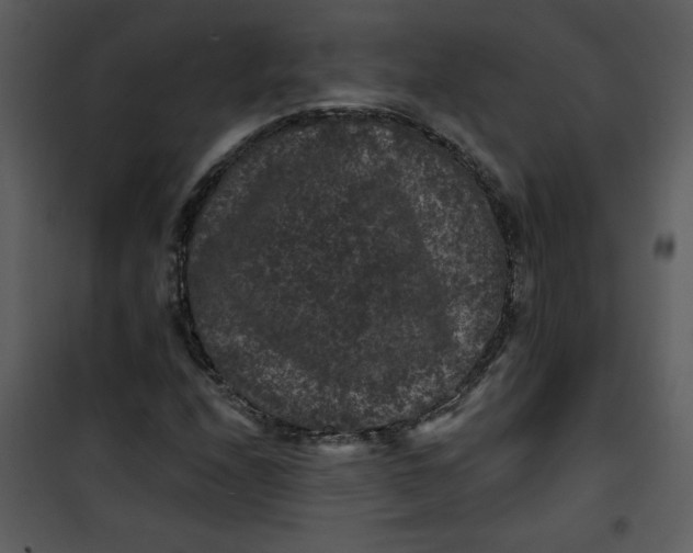 X0000101141208200807181247