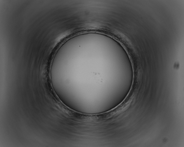 X0000101141210200807181247