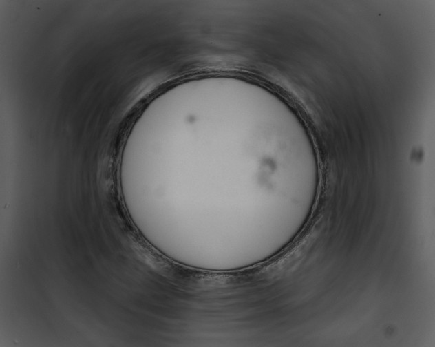 X0000101141211200807181247