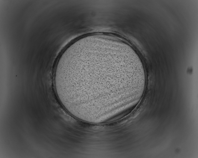 X0000101141212200807181247