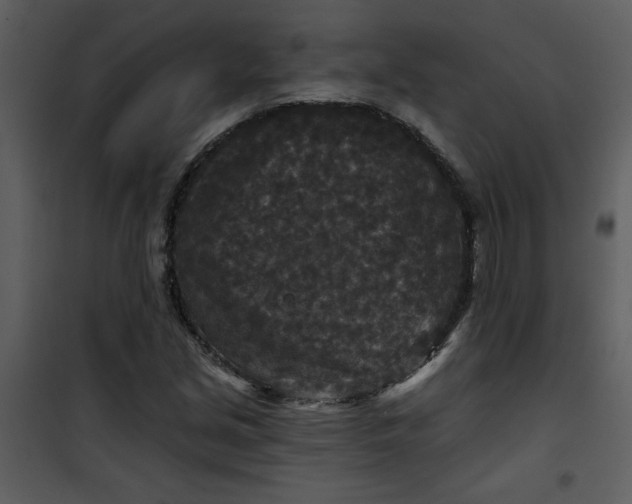 X0000101141213200807181247