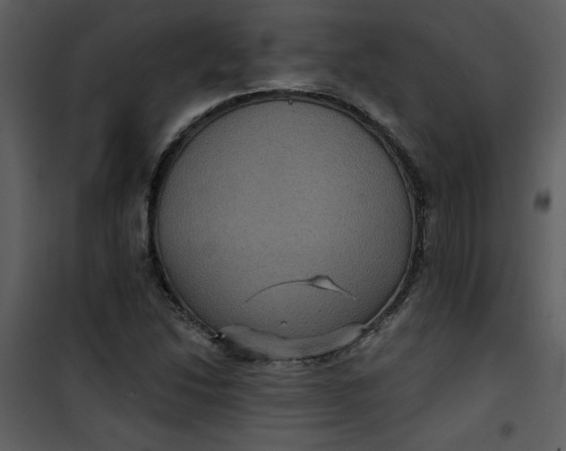 X0000101141214200807181247