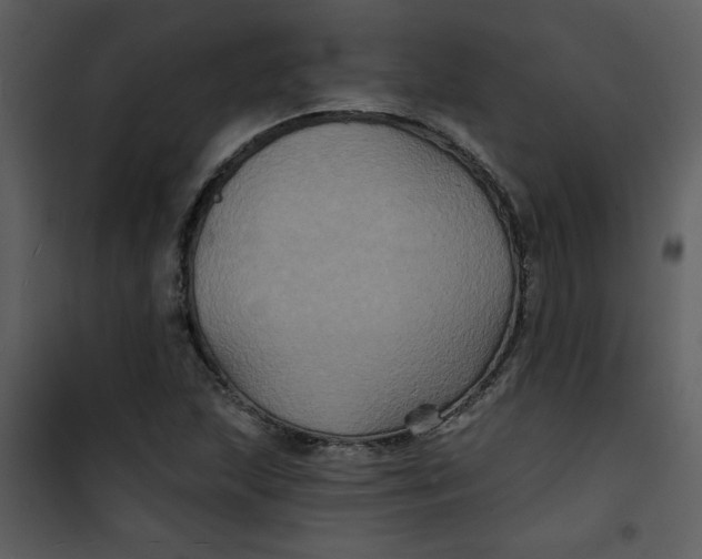 X0000101141215200807181247